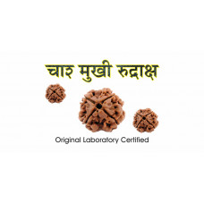 4 Mukhi Rudraksh (2.0)